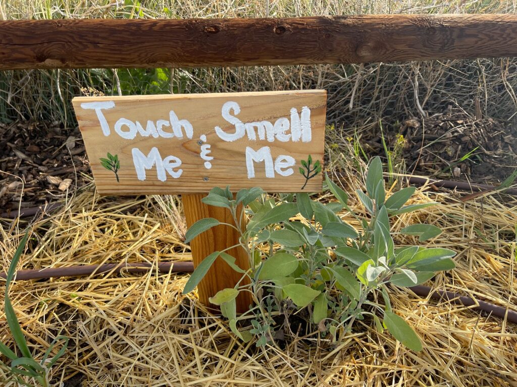 Plains Conservation Center Demonstration Garden – Arapahoe County Extension